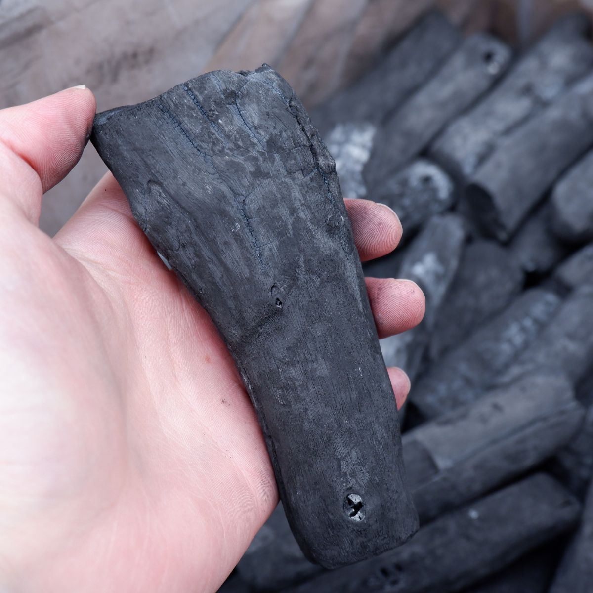炭のことならトータルフーズシステム / ラオス備長炭 切丸 直径 約2cm〜5cm 2箱×15kg