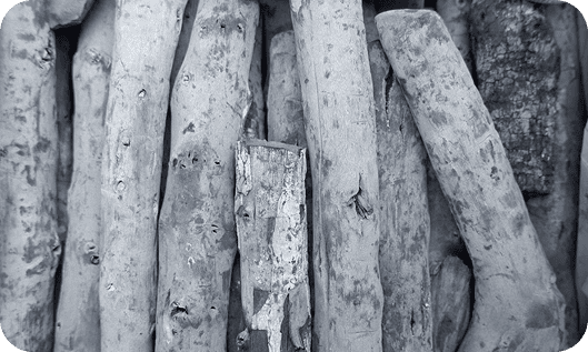 ラオス産備長炭