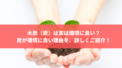 木炭(炭)は実は環境に良い? 炭が環境に良い理由を、詳しくご紹介!